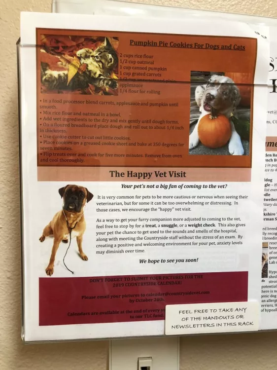Countryside Animal Hospital, Wyoming, Fort Collins